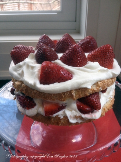 Strawberry Shortcake_4489