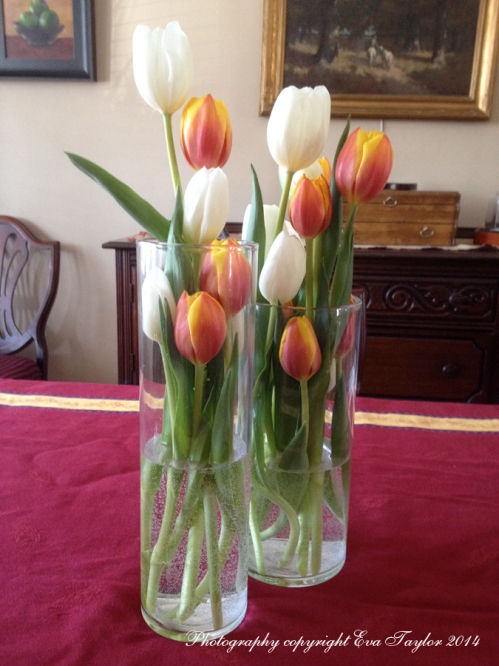 I found this clever idea in the latest LCBO magazine. My vases were a little smaller than the idea in the magazine so some of my tulips had to stick out at the top. 